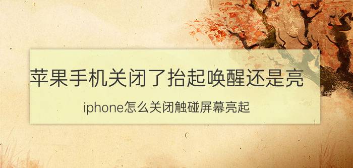 苹果手机关闭了抬起唤醒还是亮 iphone怎么关闭触碰屏幕亮起？